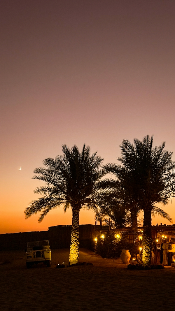 Palm trees and sunset in the desert create a serene atmosphere.