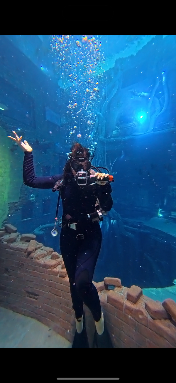 Diver exploring the underwater environment at Deep Dive Dubai.