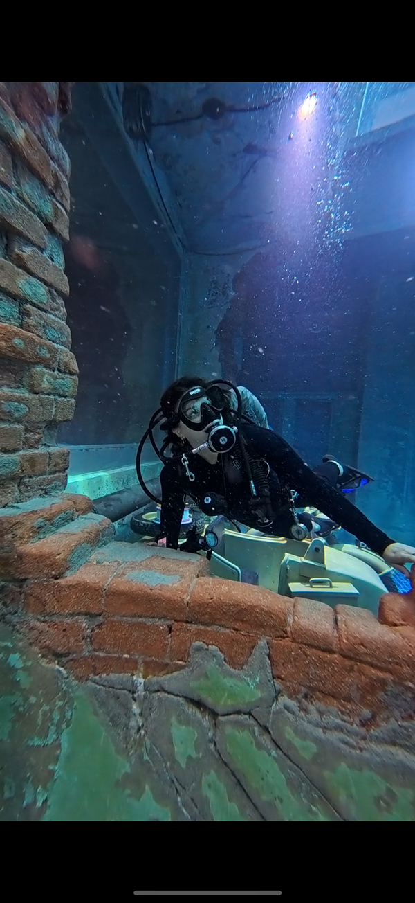 Diver exploring vibrant underwater landscapes while scuba diving.