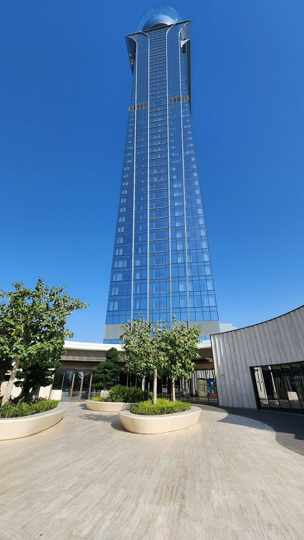 The View at the Palm 3