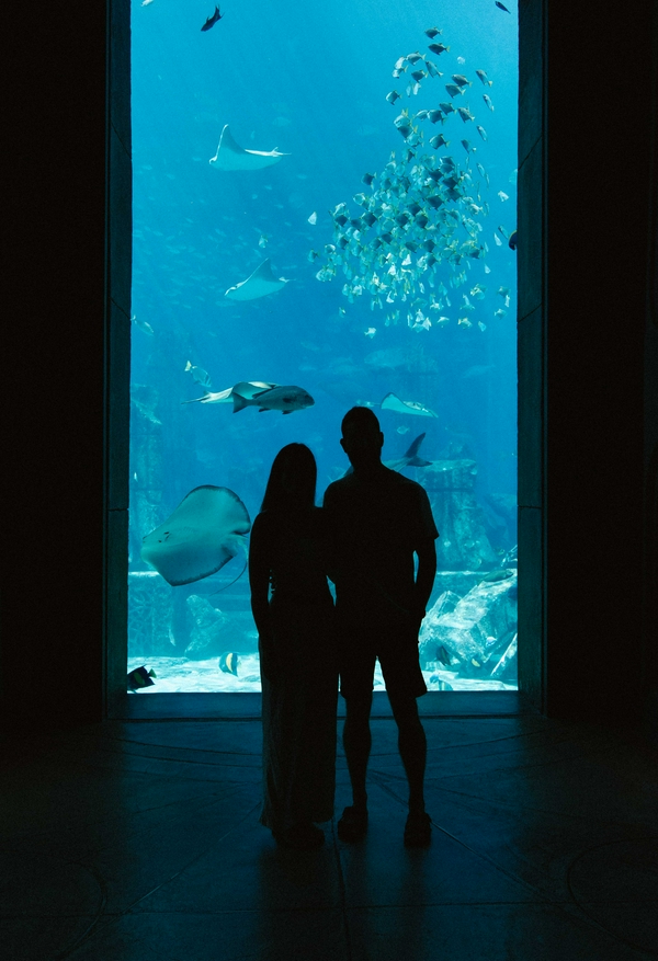 Families exploring underwater tunnels at the Lost Chambers Aquarium