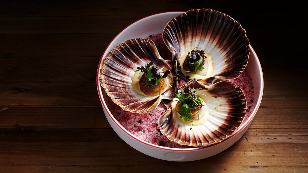 Gourmet seafood dish featuring scallop shells and fresh herbs on a wooden table.