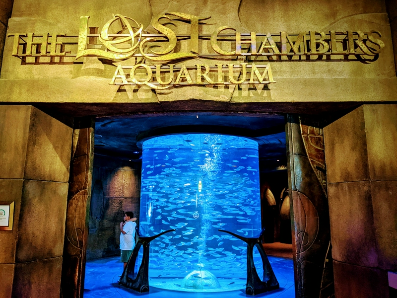 The Lost Chambers Aquarium showcasing various species of fish in immersive underwater tunnels.