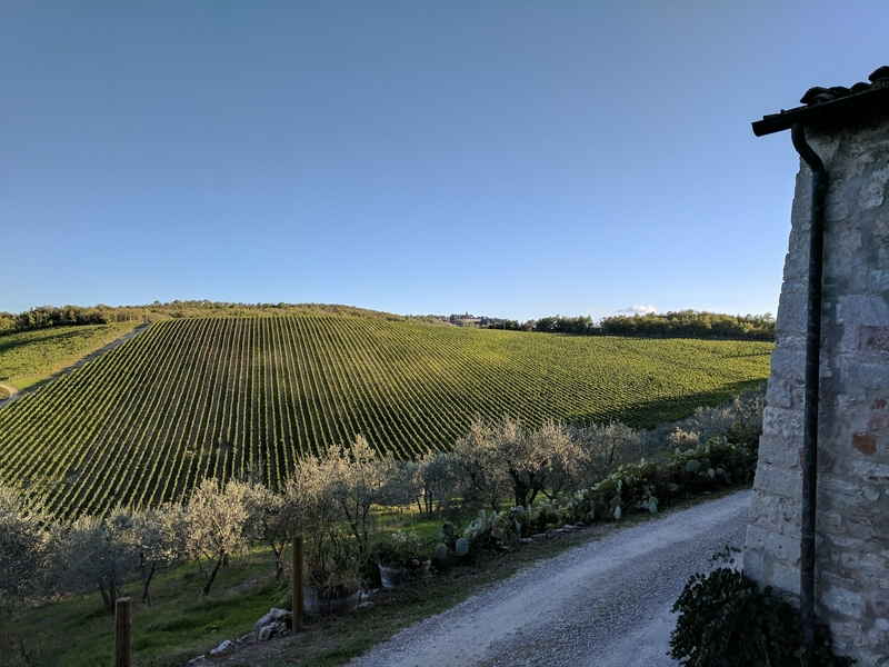 Beautiful vineyard landscape featuring rolling hills and traditional Tuscan buildings.