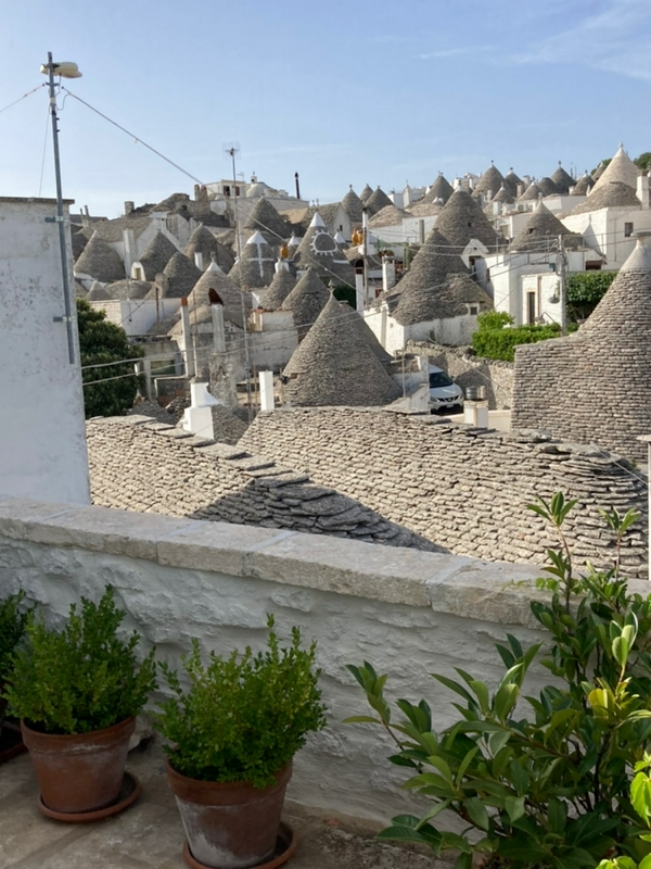 Discover the secrets of Alberobello's cuisine 1