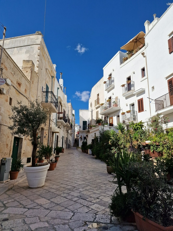 Lama Monachile Beach 4