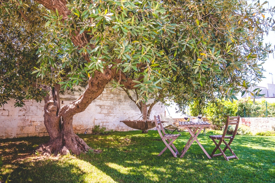 Trulli.eu Guesthouse 3