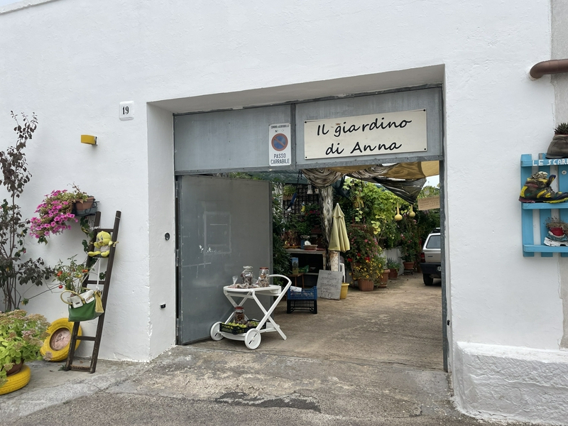 Trulli in Alberobello, Italy, showcasing unique dry stone architecture with conical roofs.