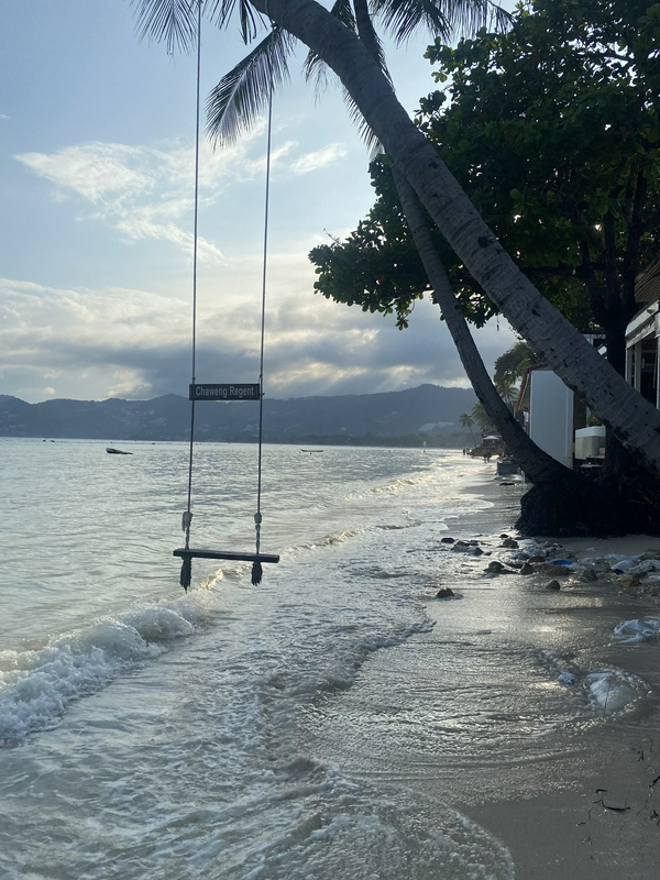 Koh Samui: On the trail of elephants 1