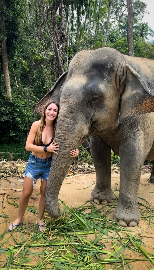 Elephant Sanctuary hero