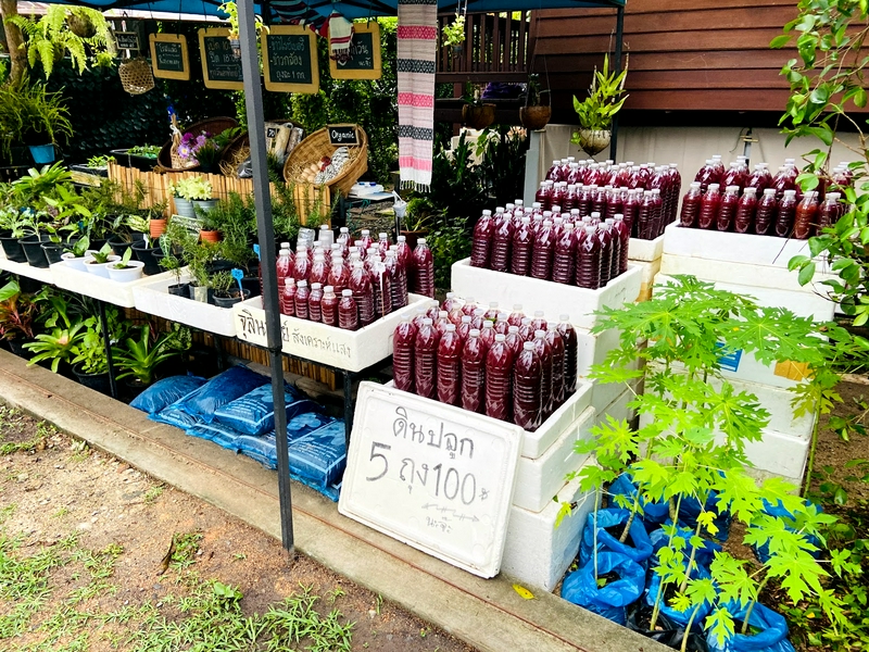 Beautiful accommodation featuring Italian-speaking hosts and a serene garden.