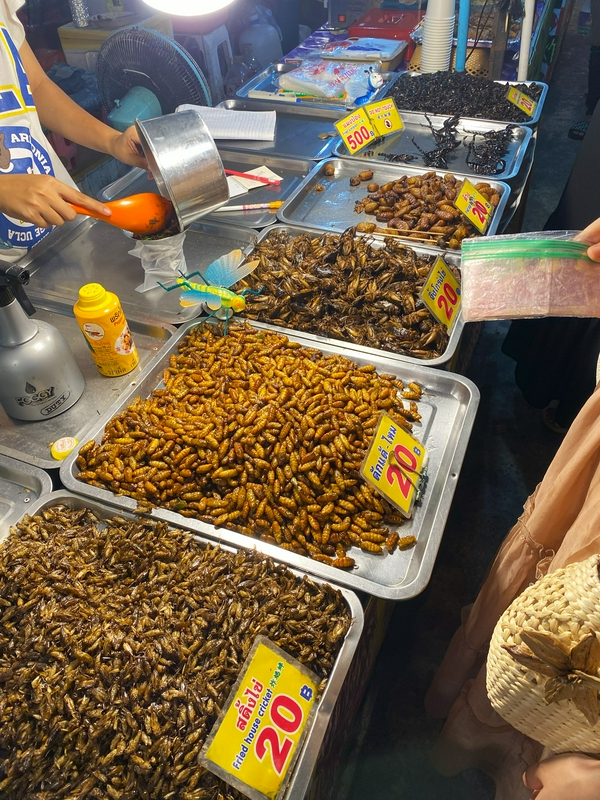 Eating insects at the Night Market 1