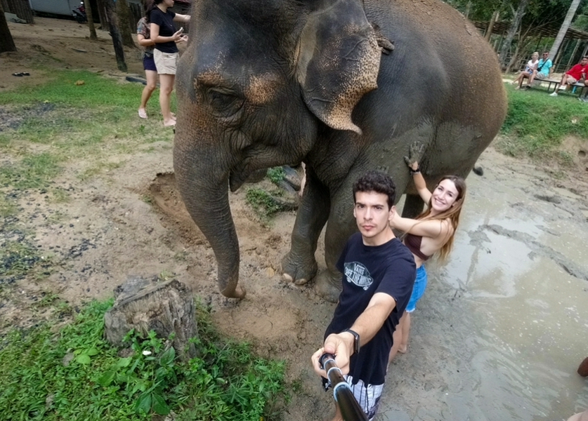 Elephant Sanctuary 1