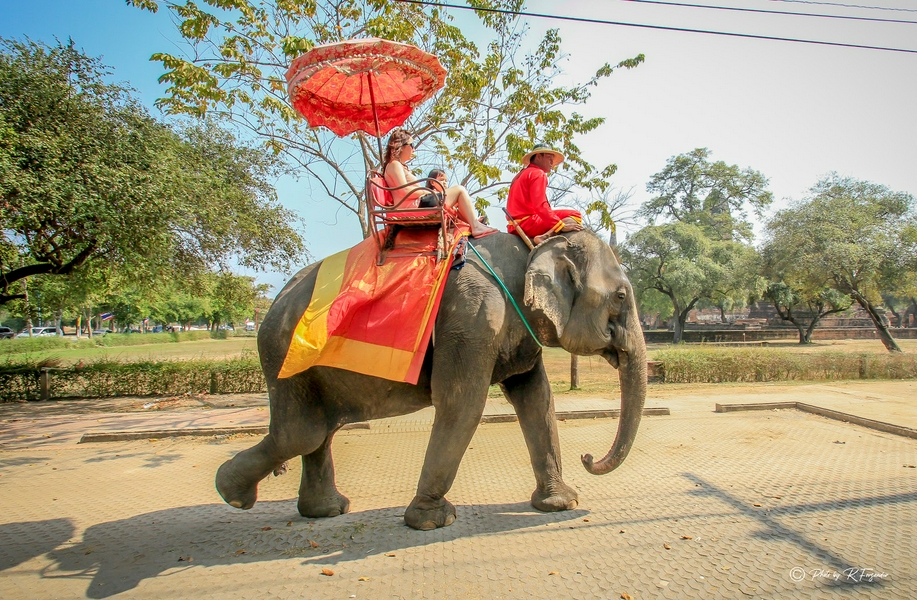 Ayutthaya: the rediscovered city 4