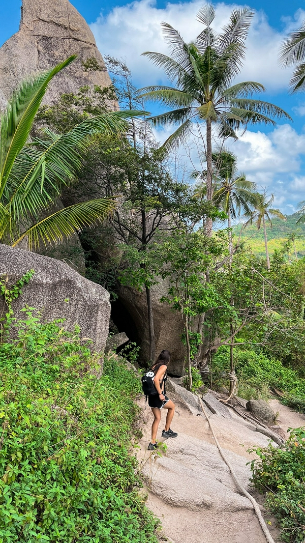 John-Swan Viewpoint 3