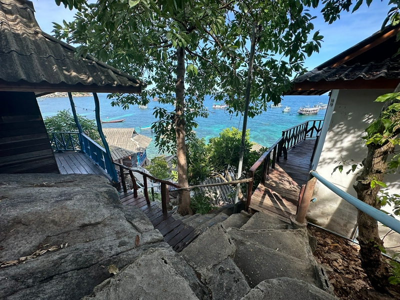 Snorkelling with Turtles and Koh Nang Yuan 4