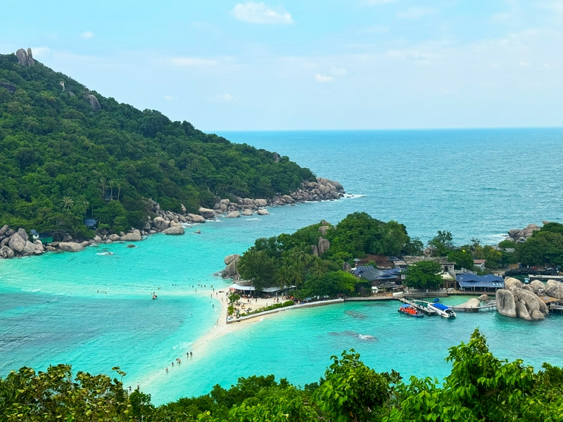 Snorkeling with turtles and sharks in Koh Tao, Thailand.