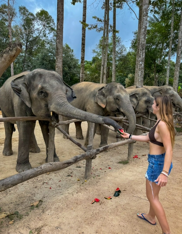 Elephant Sanctuary 2
