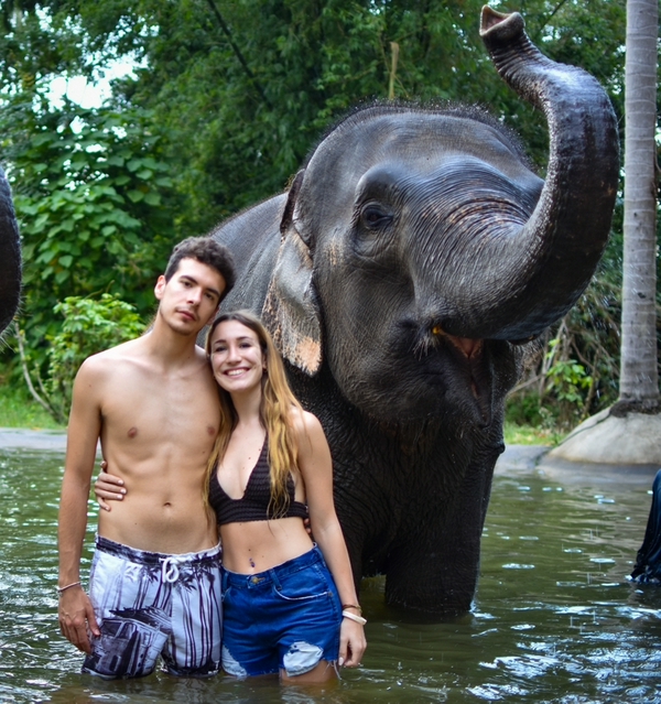 Visitors feeding Asian elephants at a wildlife sanctuary