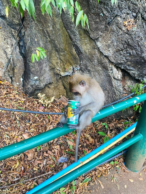 Wat Tham Sua, the Tiger Cave Temple, with panoramic views and natural caves in Thailand.