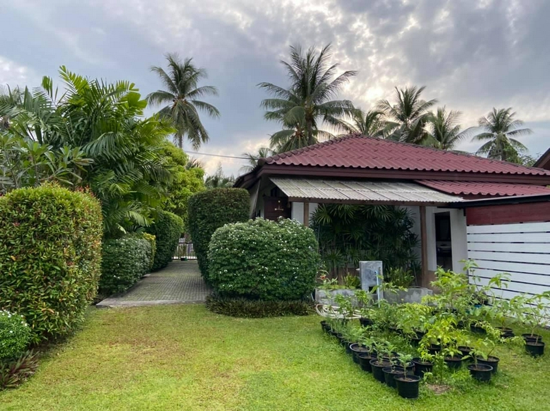 Sean Sabai Home hero