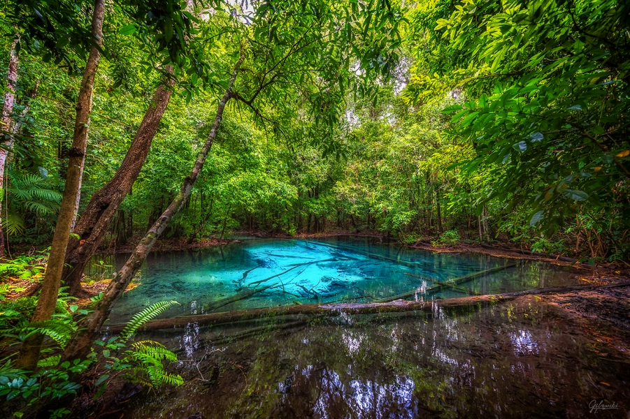Emerald Pool 4