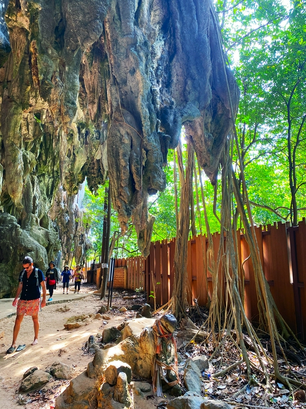 Plancton bioluminescente 3