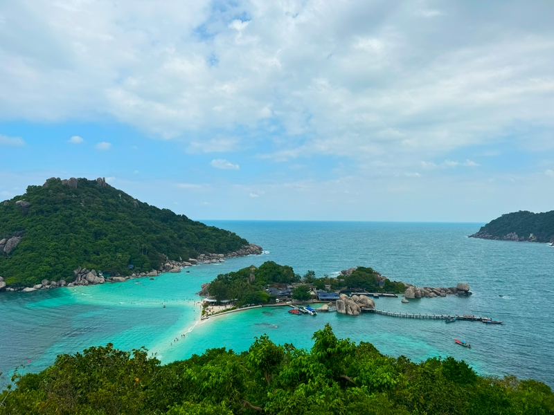 Group snorkeling tour in Koh Tao, swimming among turtles