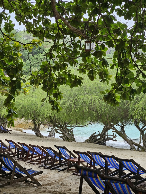 John-Swan Viewpoint 4