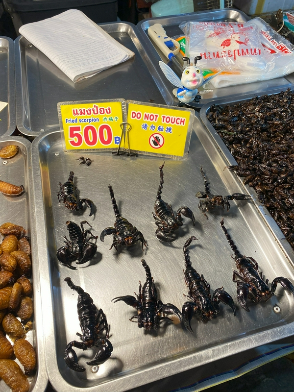 Eating insects at the Night Market 2