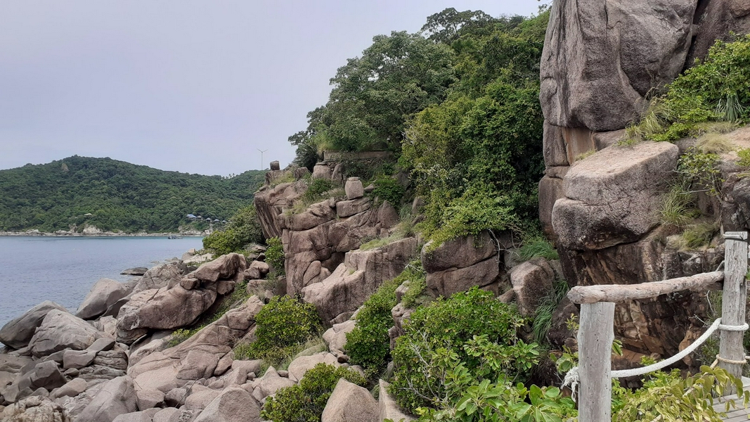 John-Swan Viewpoint 2