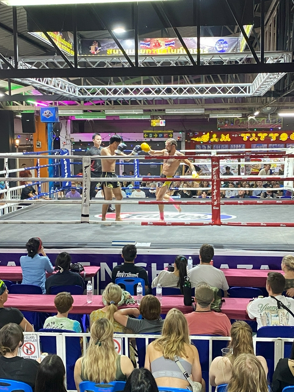 Muay Thai Fighting 1