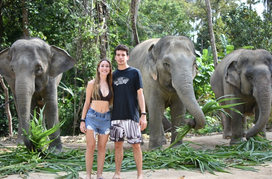 Elephant Sanctuary 3
