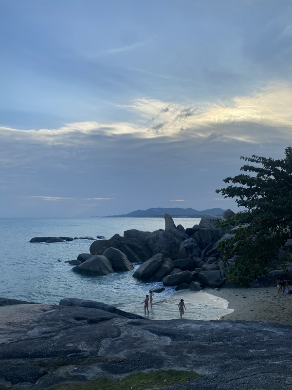 Koh Samui: On the trail of elephants 3