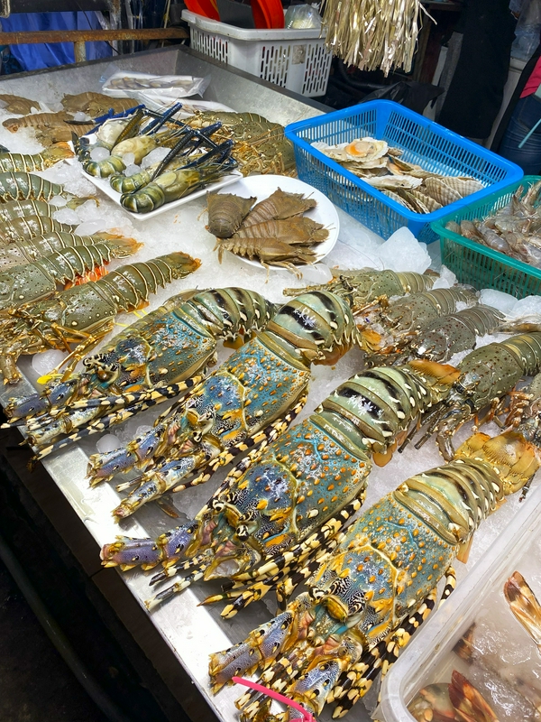 Eating insects at the Night Market 3