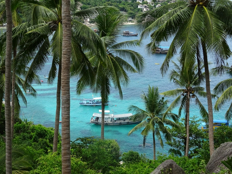 John-Swan Viewpoint 1