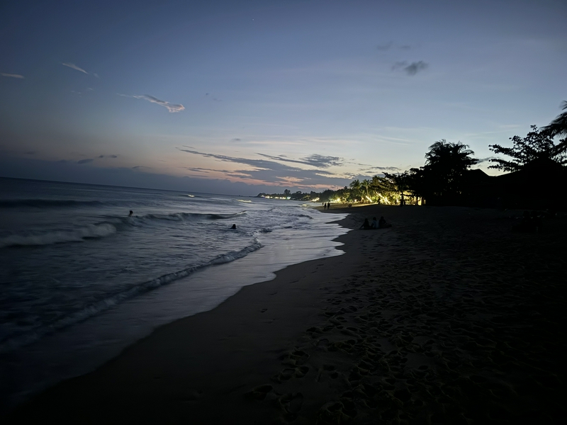 Koh Samui: On the trail of elephants 2