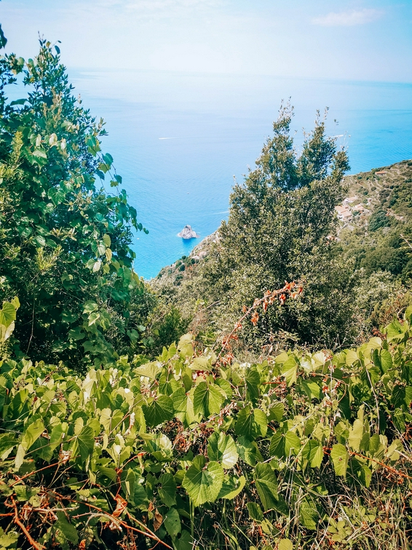 Scenic hiking trails leading to beaches in Campiglia, Liguria.