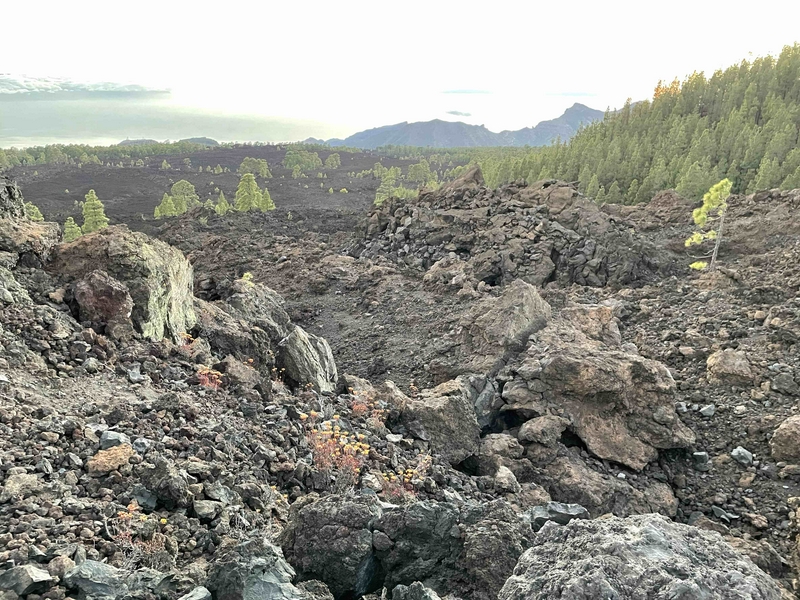 Sunset & Stargazing sul Teide  4