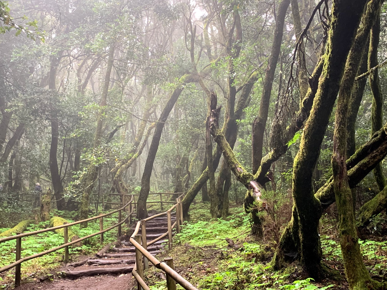 Hiking in La Gomera 1