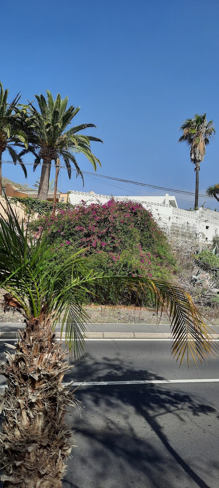 Padel lessons with a view 3