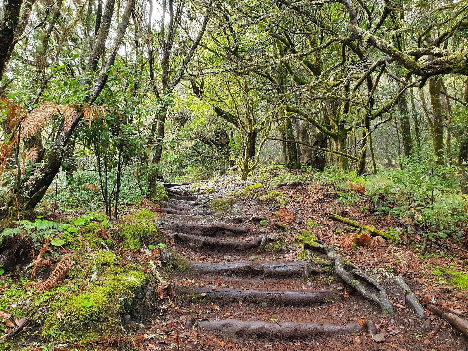 Hiking in La Gomera hero