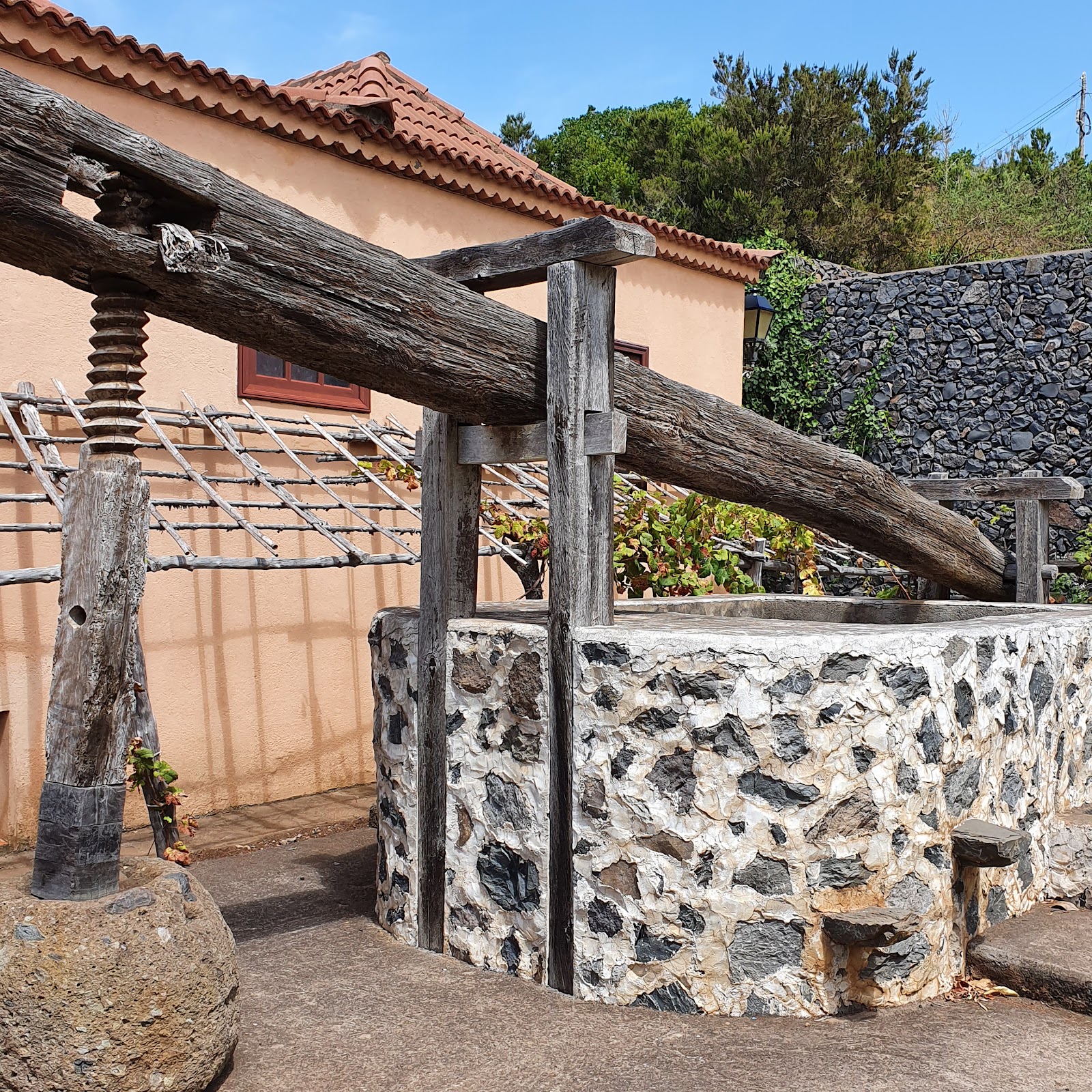 Visit to the Garajonay Park Museum 1