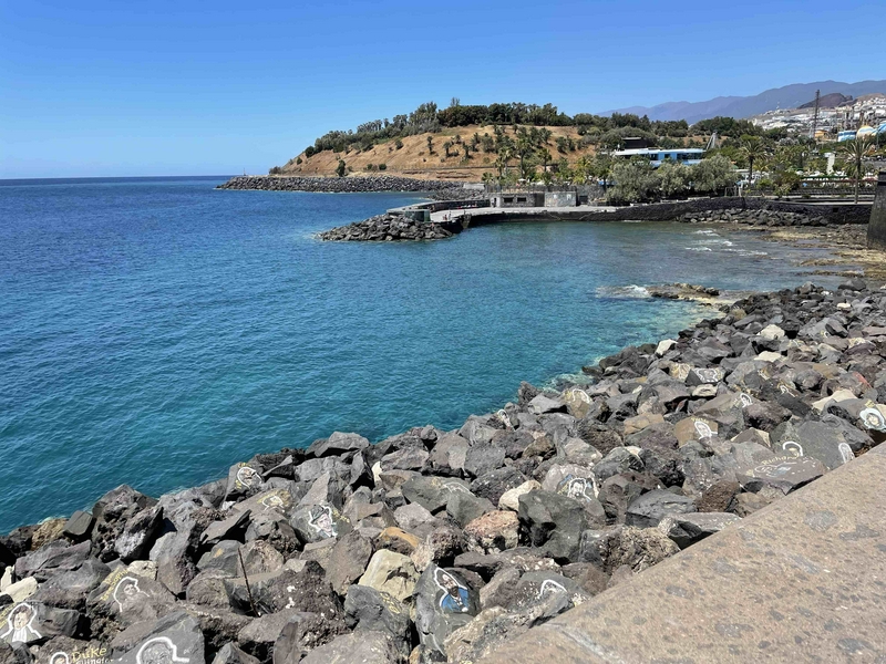 History, good wine and lush vegetation in the North 2