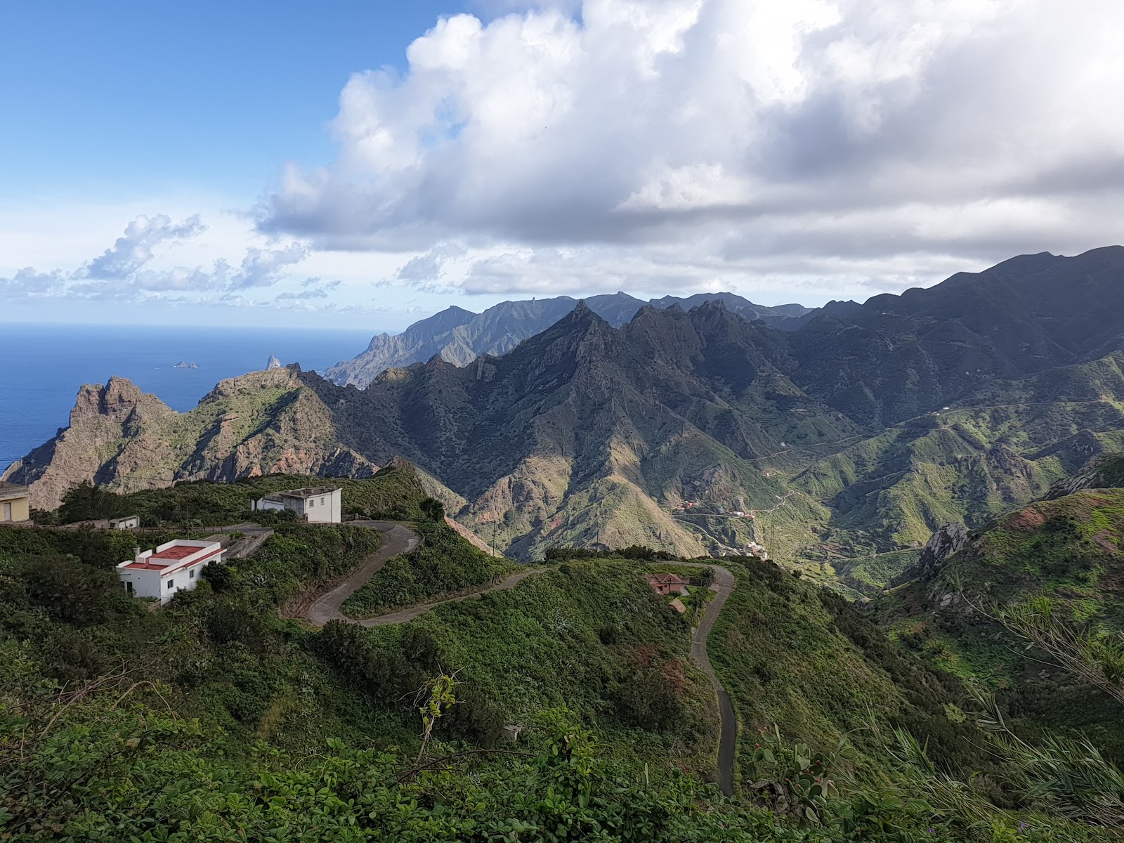Hiking in the Anaga Forest 2