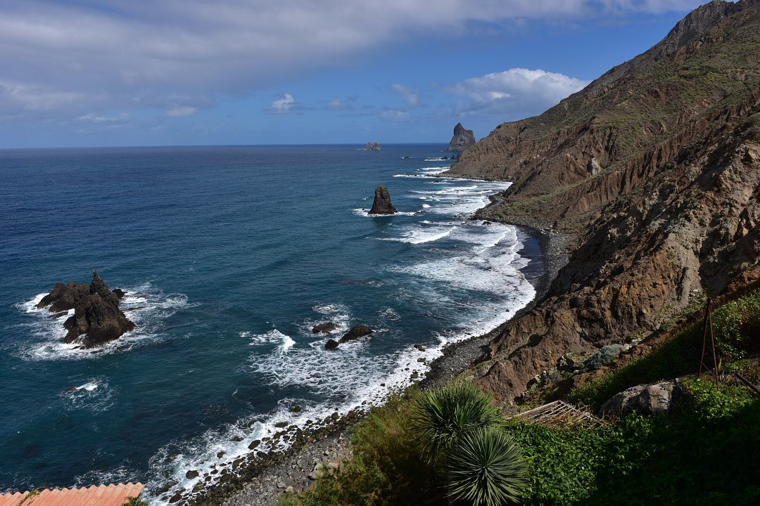 Hiking in the Anaga Forest 4