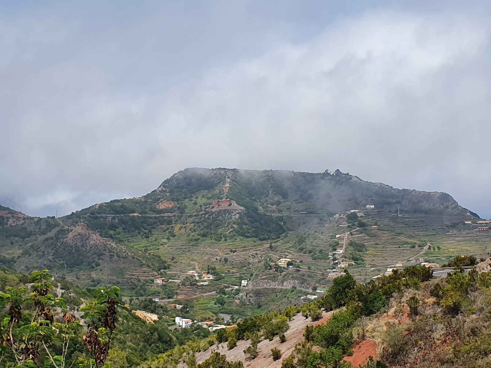 Visit to the Garajonay Park Museum hero