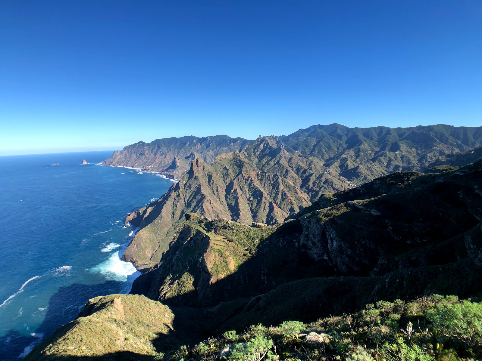 Hiking in the Anaga Forest hero