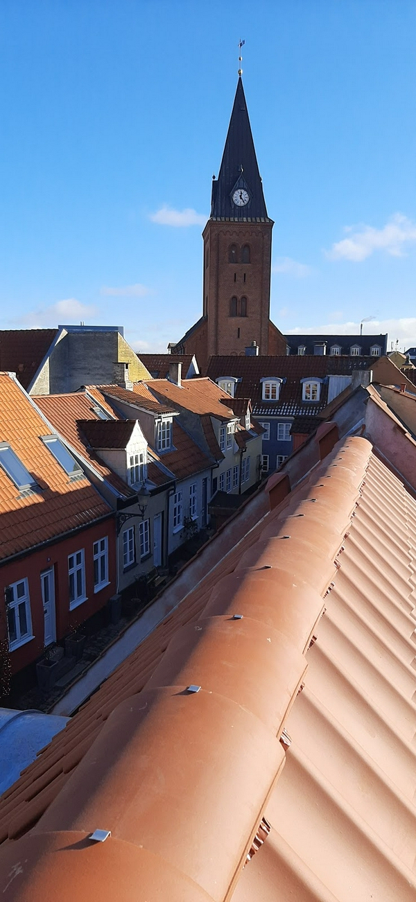 Hjelmerstald, a charming cobblestone street with colorful buildings in Aalborg, Denmark.