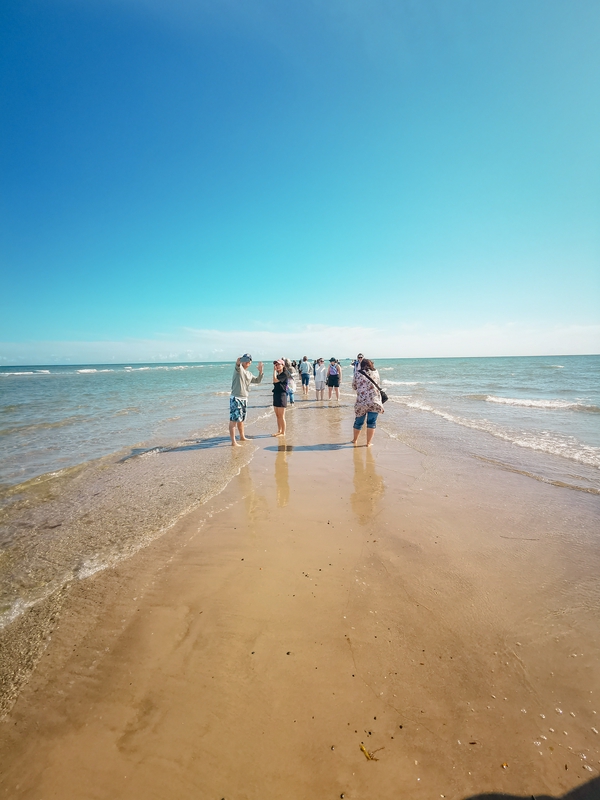 Grenen: The northernmost point of Denmark 4